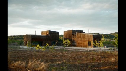 El Instinto 🎬 - Nuevo tráiler revelador