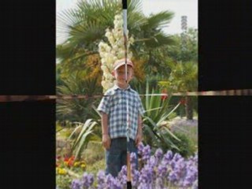 hommage à un petit ange : Simon