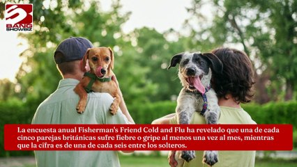 Los matrimonios y los paseadores de perros tienen más riesgo de resfriarse