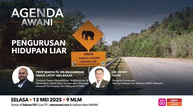 Agenda AWANI: Pengurusan Hidupan Liar