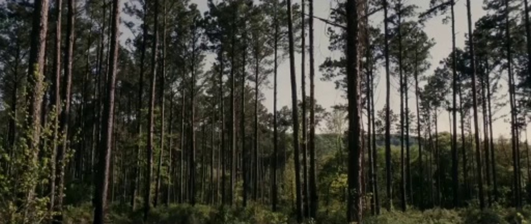 Resurrection Road Trailer OV