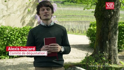 Primeurs de Bordeaux 2024 : les coups de coeur d'Alexis Goujard à Saint-Emilion