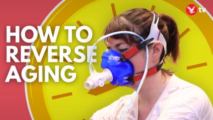 A ‘Longevity Doctor’ tells me how old I REALLY am