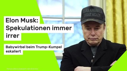 Elon Musk: Spekulationen immer irrer: Babywirbel beim Trump-Kumpel eskaliert