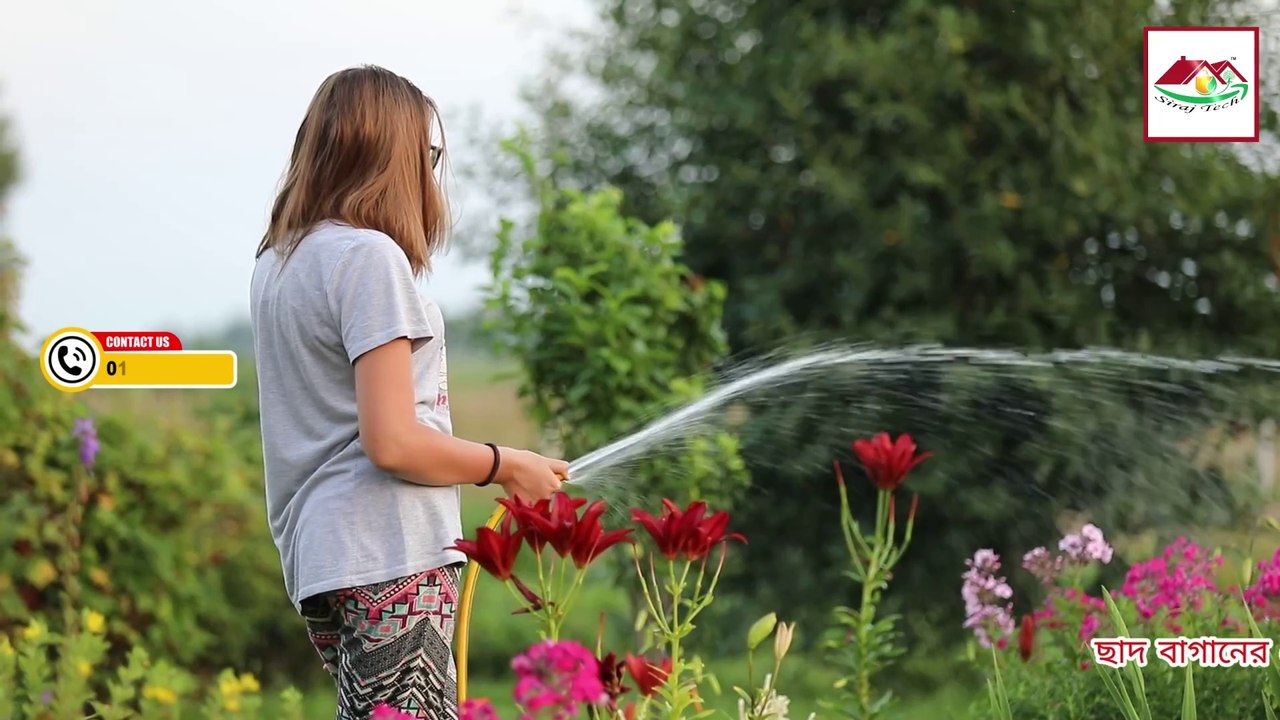 কীটনাশক ছাড়া গাছের যত্ন নেওয়ার প্রাকৃতিক উপায় 🌿