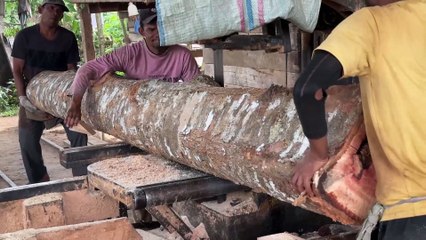The Best Sawmill Machine for Fast Cutting of 2x20 Wood