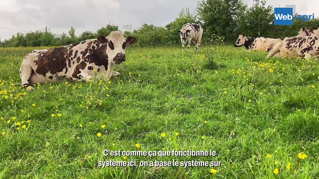 Chez Mickaël Lepage, les vaches pâturent 300 jours par an