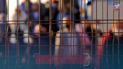 🟠ما من دولة حقيقية إلا ولها وجهة نظر في الحياة وثقافة تعبر عنها