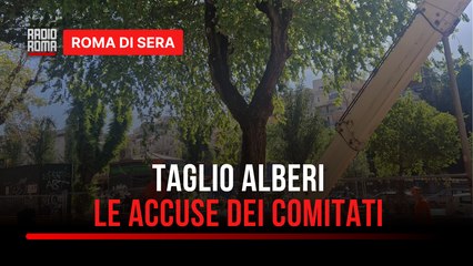 Tagliare gli alberi in questo periodo è vietato dalla Legge! La protesta dei "volontari del verde".