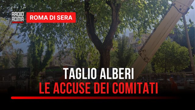 Tagliare gli alberi in questo periodo è vietato dalla Legge! La protesta dei volontari del verde .
