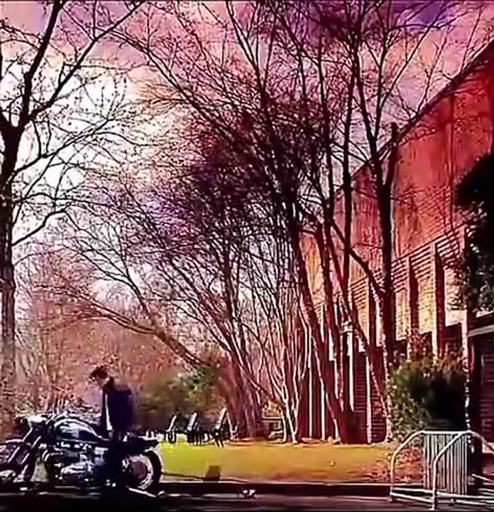 Caroline and Stefan with humanity off | The Vampire Diaries