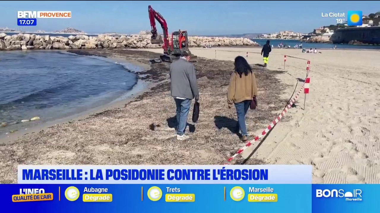 Marseille: la ville expérimente la posidonie po...