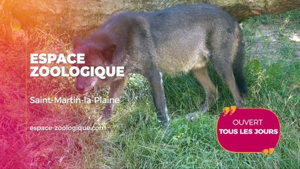 Agenda des Sorties : printemps 2025-1