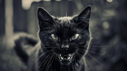 Cet abonné capture une photo effrayante 😱