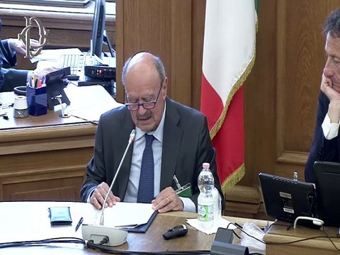 Roma - Destinazione proventi vendita prodotti - Audizioni - UPA, Fondazione Terzjus, Forum terzo settore, Paolo Bandiera (AISM), Rossano Bartoli (Lega filo d'oro), ASSIF, Maria Chiara Roti (Fondazione Ronald McDonald Italia) e Paolo Perrone (IPZS) (13.05.