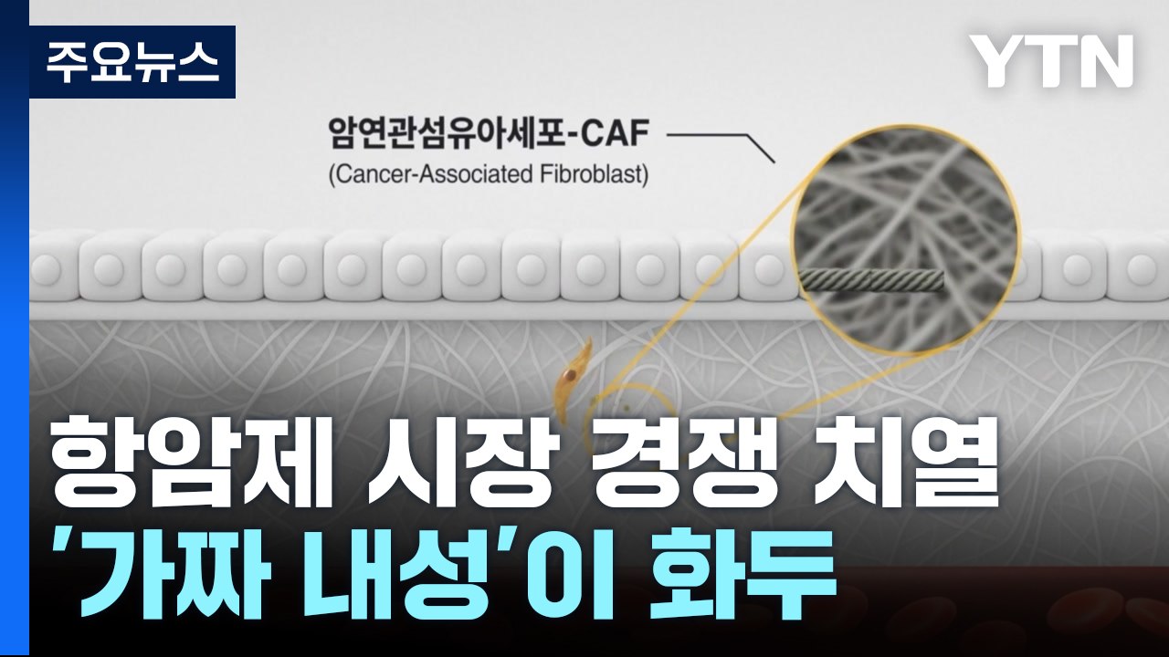 300조 원 규모 항암제 시장 경쟁 치열...가짜 내성이 화두 / YTN