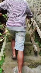 Part 1 Viral babi hutan masuk ke bak mandi