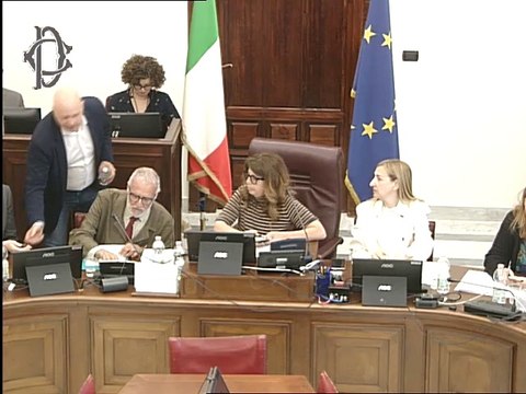 Roma - Diritto d'autore fotografie - Audizione - AIRF - Conflavoro Assofoto (13.05.25)