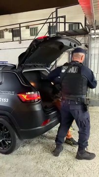 Vídeo mostra ladrão de fios elétricos sendo preso após tentativa de furto em Florianópolis