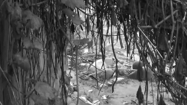 Se conocen nuevos detalles del brutal asesinato del niño que había desaparecido en Usme