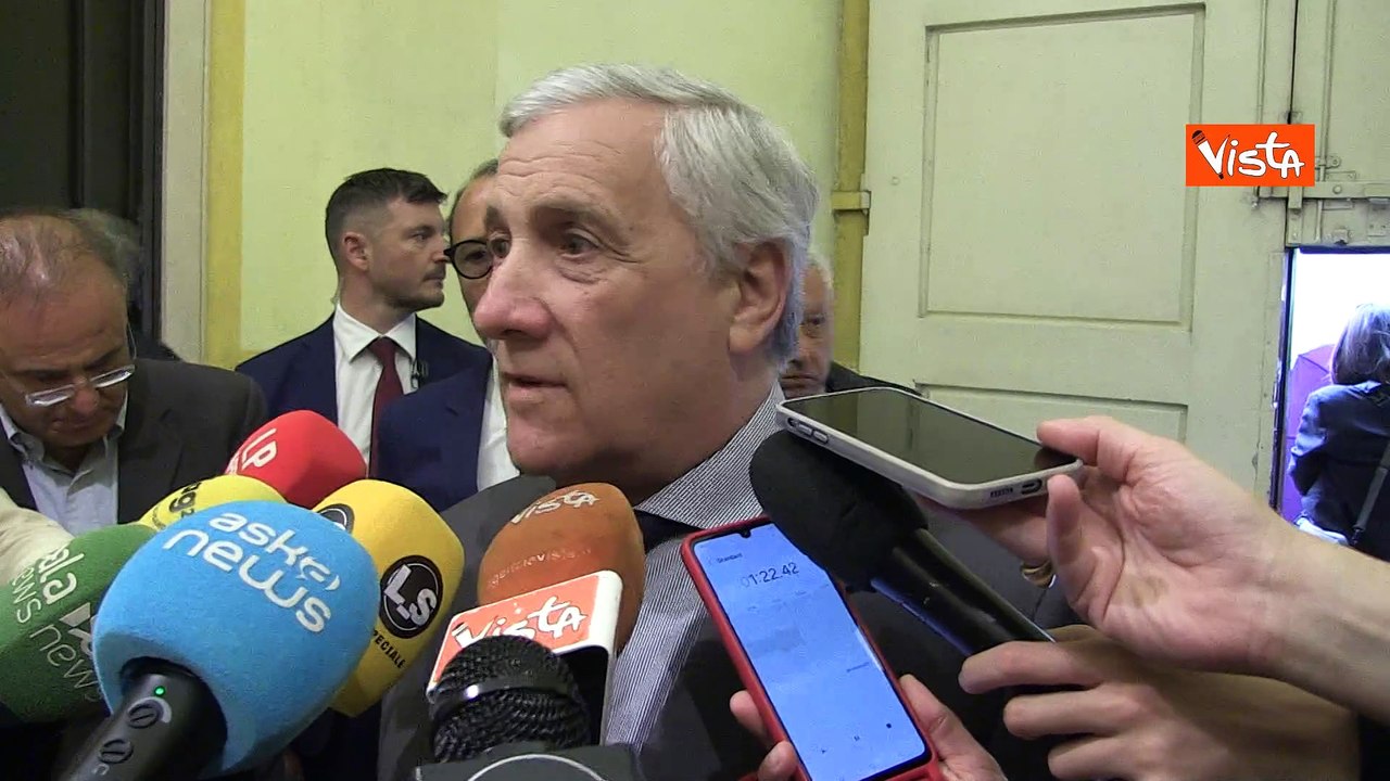 Guerra in Ucraina, Tajani: "Lavoriamo tutti per la pace, Russia si assuma le sua responsabilità"