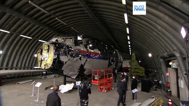 Crash du vol MH17 en Ukraine : la Russie jugée responsable par une agence de l'ONU