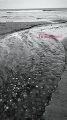 Time passes Folge 10