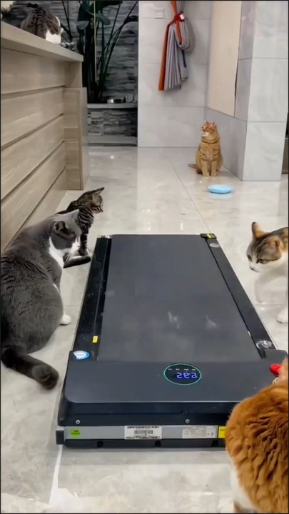 exercise time now