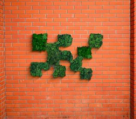 Maîtriser les techniques de jardinage les plus importantes !