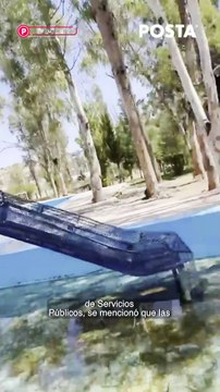 Puedes refrescarte en estas fuentes sin sufrir sanción