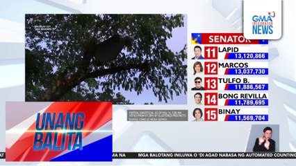 Mahigit 50 botante sa Brgy. Tangub, inatake ng mga bubuyog | Unang Balita