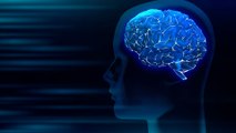 Mind wandering: la importancia de distraerse para el cerebro humano