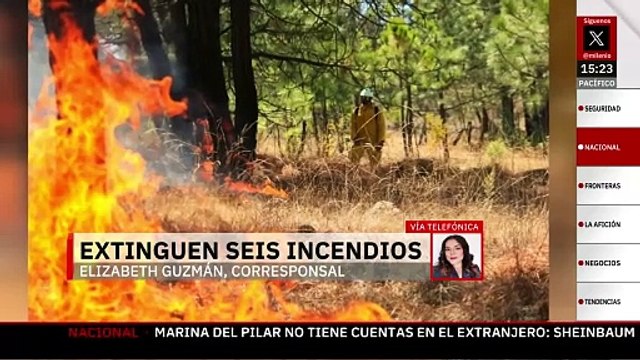 Autoridades informan la extinción de seis incendios forestales en Michoacán