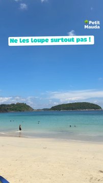 Canicule en vue ? On a ce qu’il te faut 🌊☀️Voici les bases de loisirs autour de Paris où tu peux te baigner, chiller, faire du paddle ou juste fuir la chaleur 🔥T’as une préférée dans la liste ?©️ Crédit : Petit Mauda