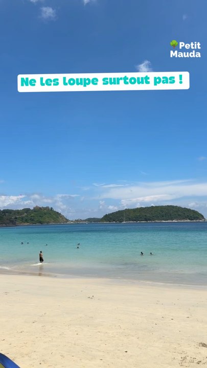 Canicule en vue ? On a ce qu’il te faut 🌊☀️Voici les bases de loisirs autour de Paris où tu peux te baigner, chiller, faire du paddle ou juste fuir la chaleur 🔥T’as une préférée dans la liste ?©️ Crédit : Petit Mauda