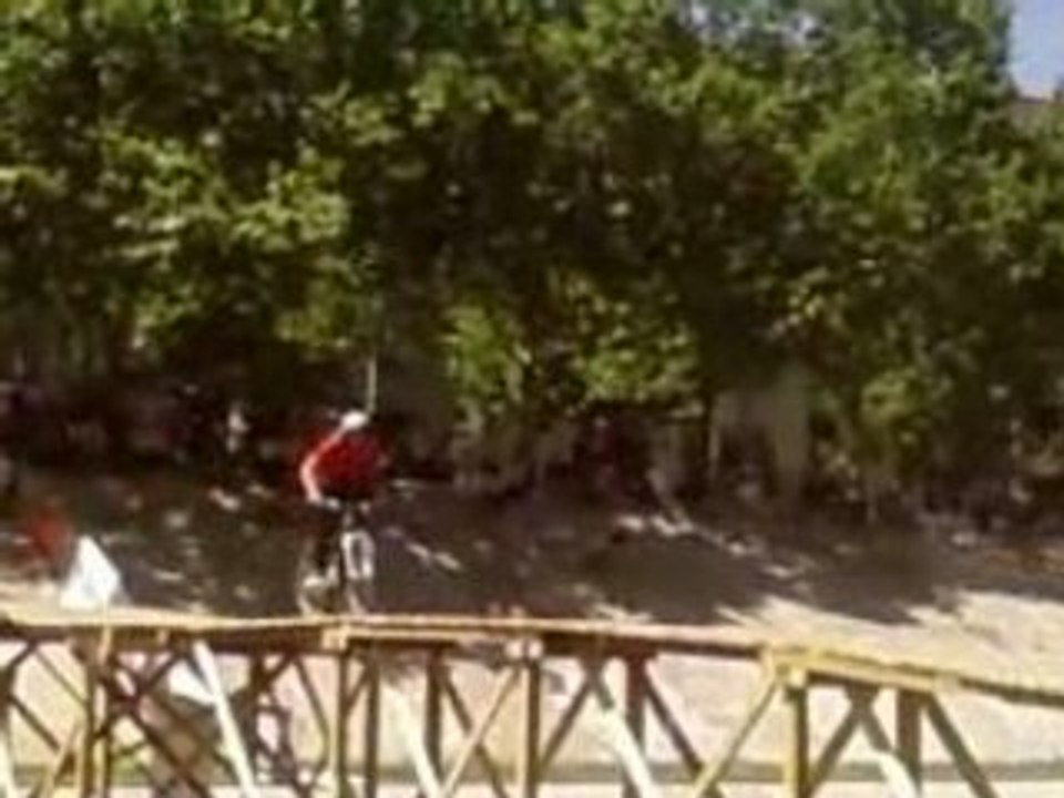 fise 2008