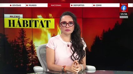 UNAM alerta de aceleración en el calentamiento global | Milenio Hábitat