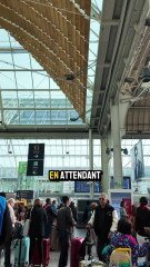 J1 au festival de cannes et j'ai déjà croisé Tom Cruise 😱🎥