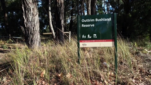 Triple-murder trial hears death cap mushrooms are difficult to identify