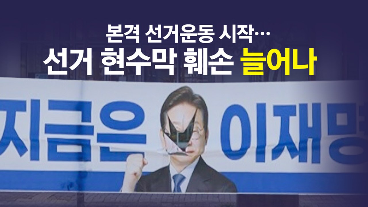 선거 현수막 훼손? "이유 막론하고 안돼!" [앵커리포트] / YTN