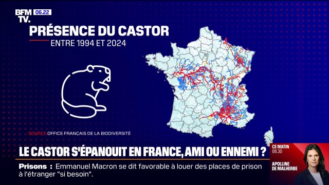 Le castor s'épanouit en France mais la cohabitation entre l'agriculture et la faune peut-elle bien se passer?