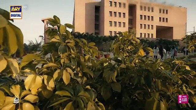 pakistani trending dramas full ep 12