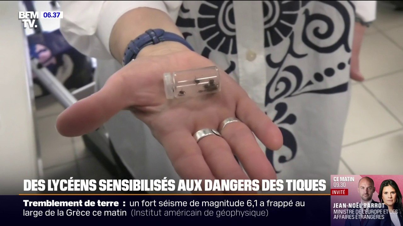 Des lycéens alsaciens sensibilisés aux dangers des tiques et à la maladie de Lyme