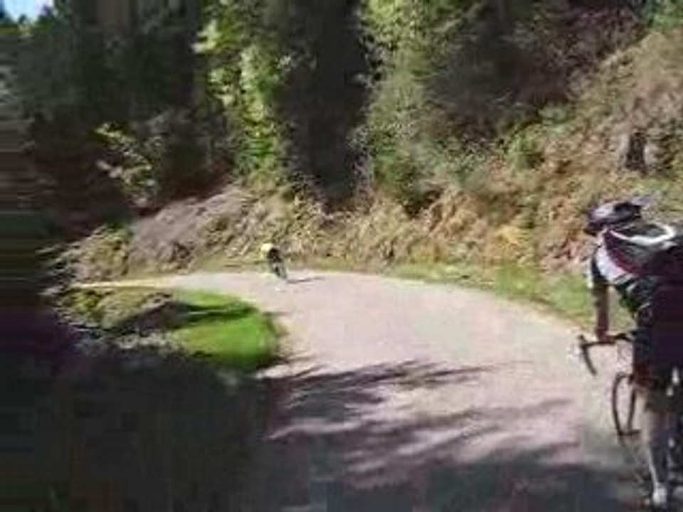 Attaque de pace, contre de Ham
