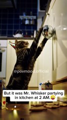 POV: You though it was a Ghost 👻 but...