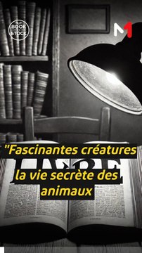 BookEnStock : Fascinantes créatures, la vie secrète des animaux des profondeurs et des abysses - 13/05/2025