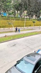 Woman Stumbles While Racing and Falls Face-First