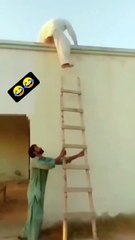 Anwar Kamal - Thank you for watching the video_ follow next the video.___video _video _follow - 598973943