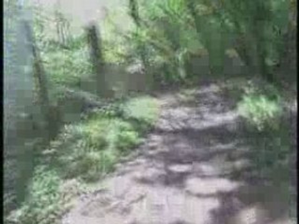 Raismes La forestiere