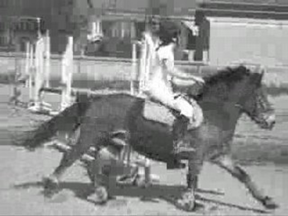 Neskuik et Meunier sur la 60-70 cm